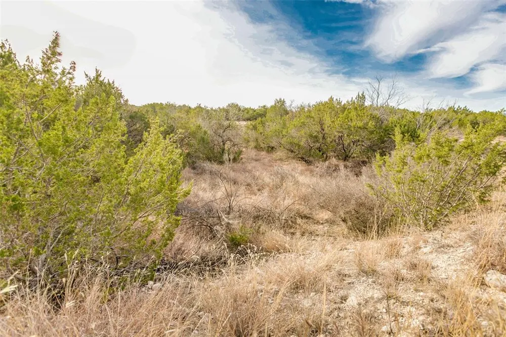 COX RD Robert Lee, TX 76945