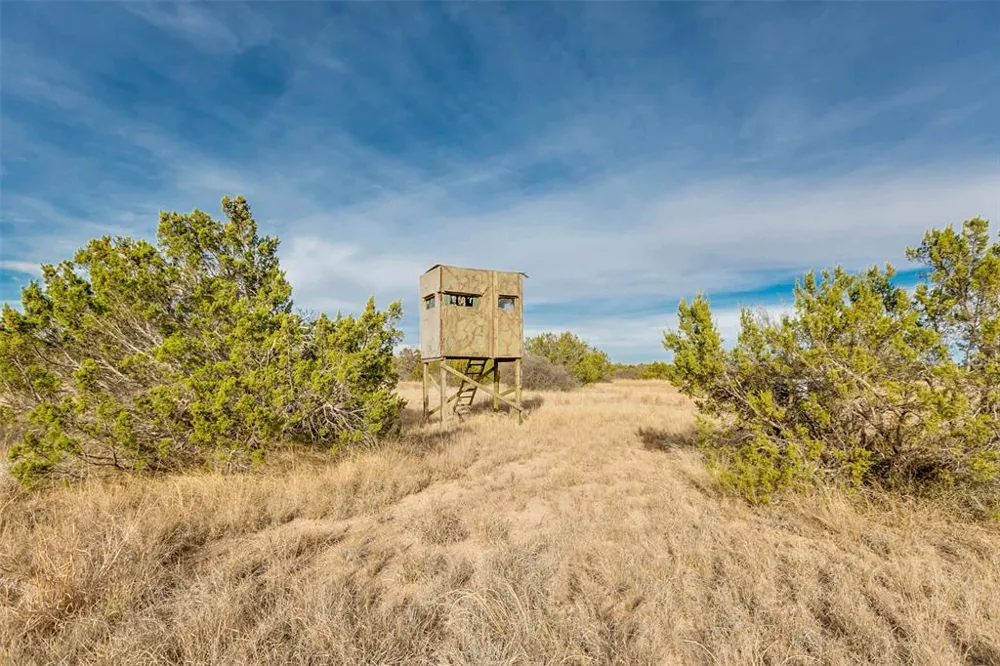 COX RD Robert Lee, TX 76945