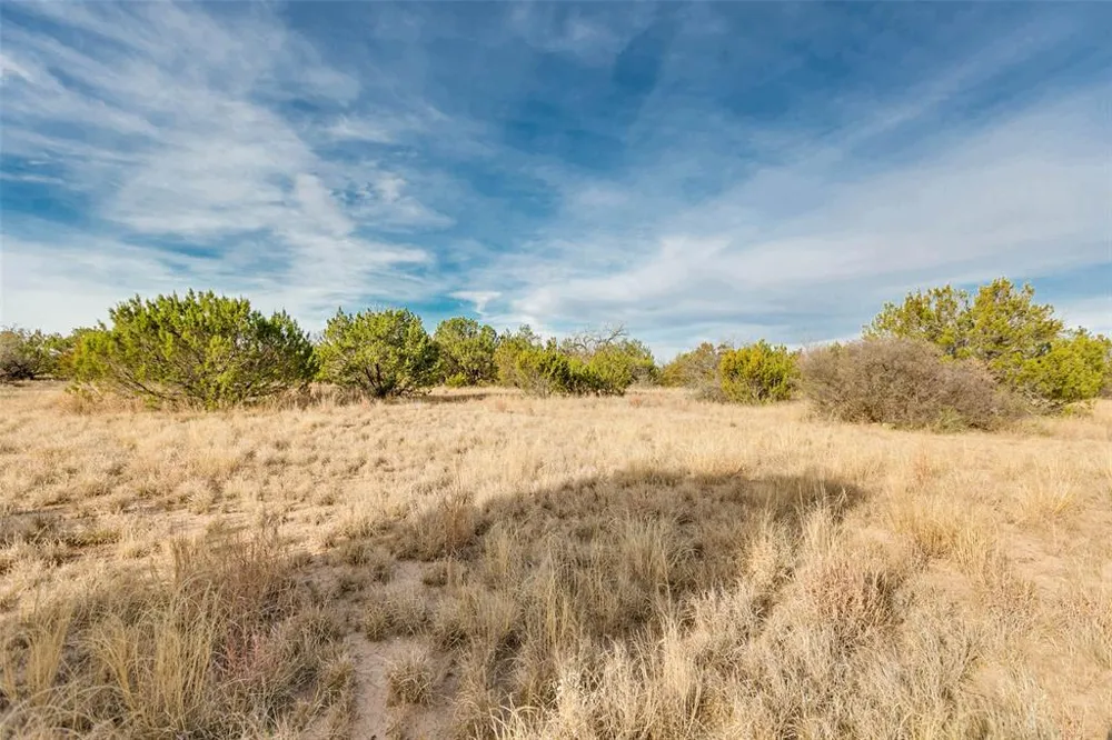 COX RD Robert Lee, TX 76945