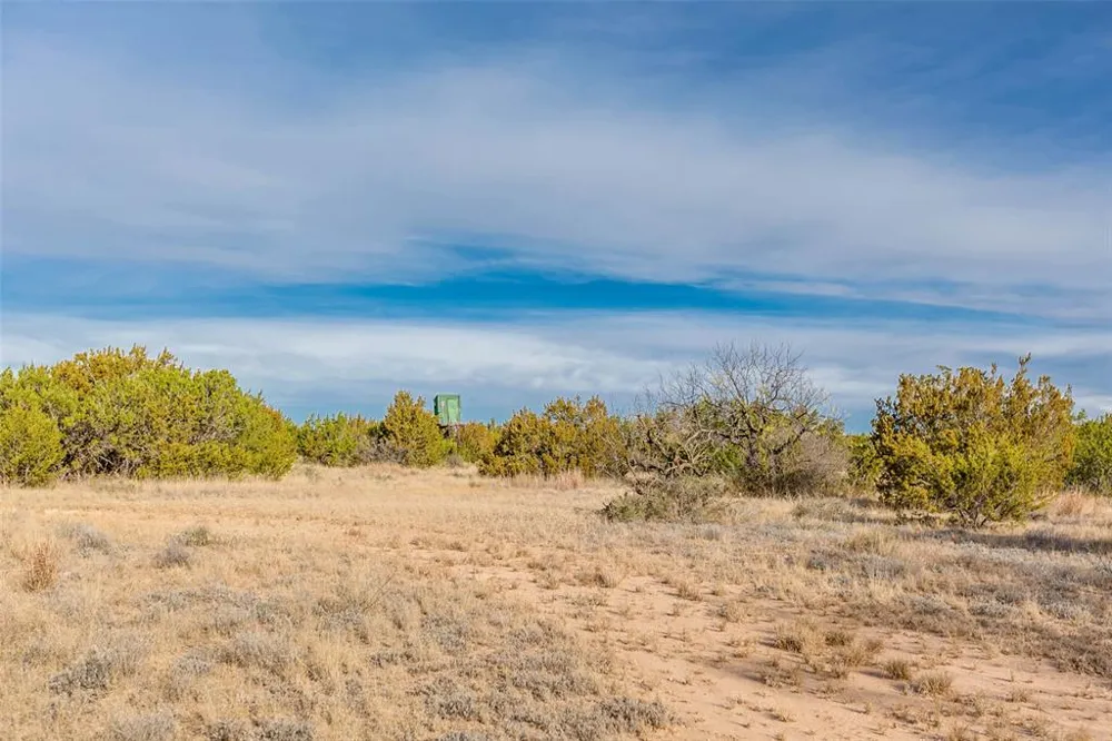 COX RD Robert Lee, TX 76945