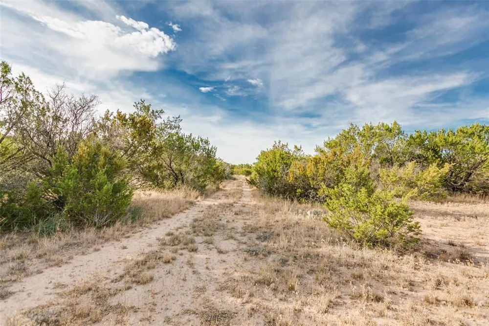 COX RD Robert Lee, TX 76945
