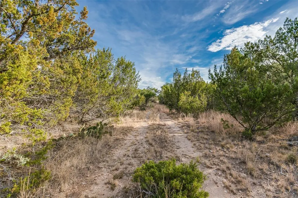 COX RD Robert Lee, TX 76945