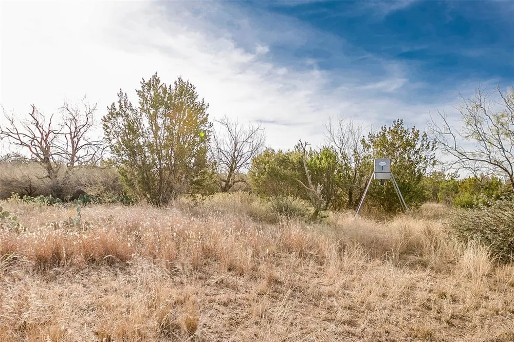 COX RD Robert Lee, TX 76945