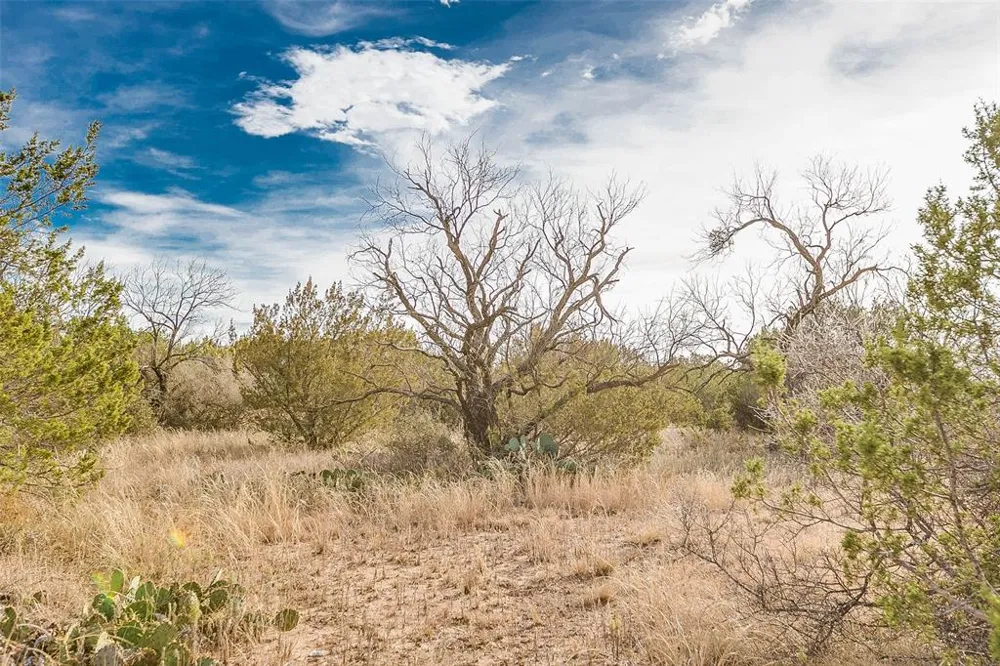 COX RD Robert Lee, TX 76945