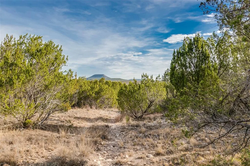 COX RD Robert Lee, TX 76945