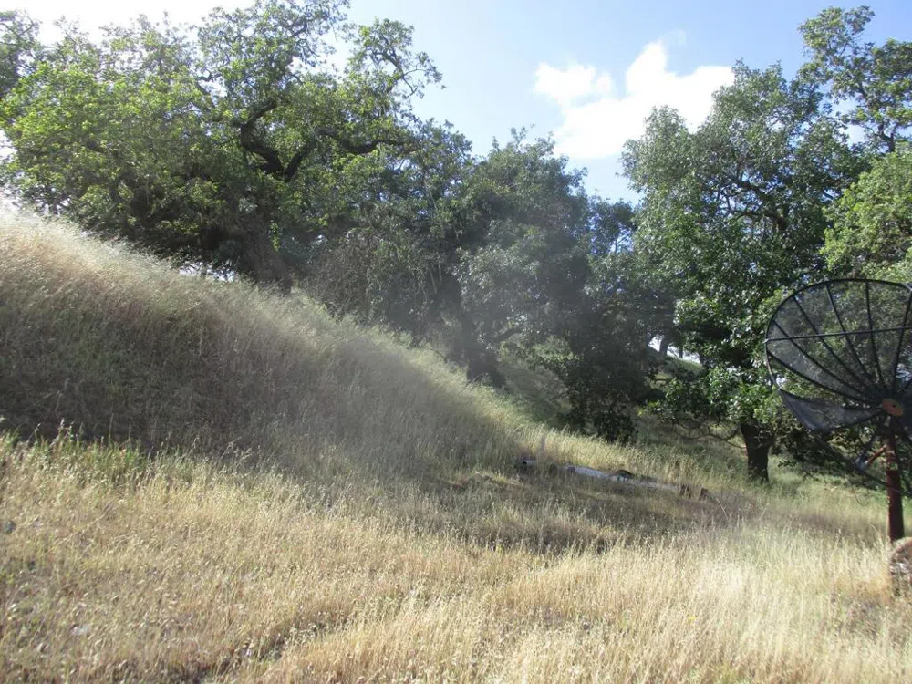 1935 Hayes Lane San Martin, CA 95046