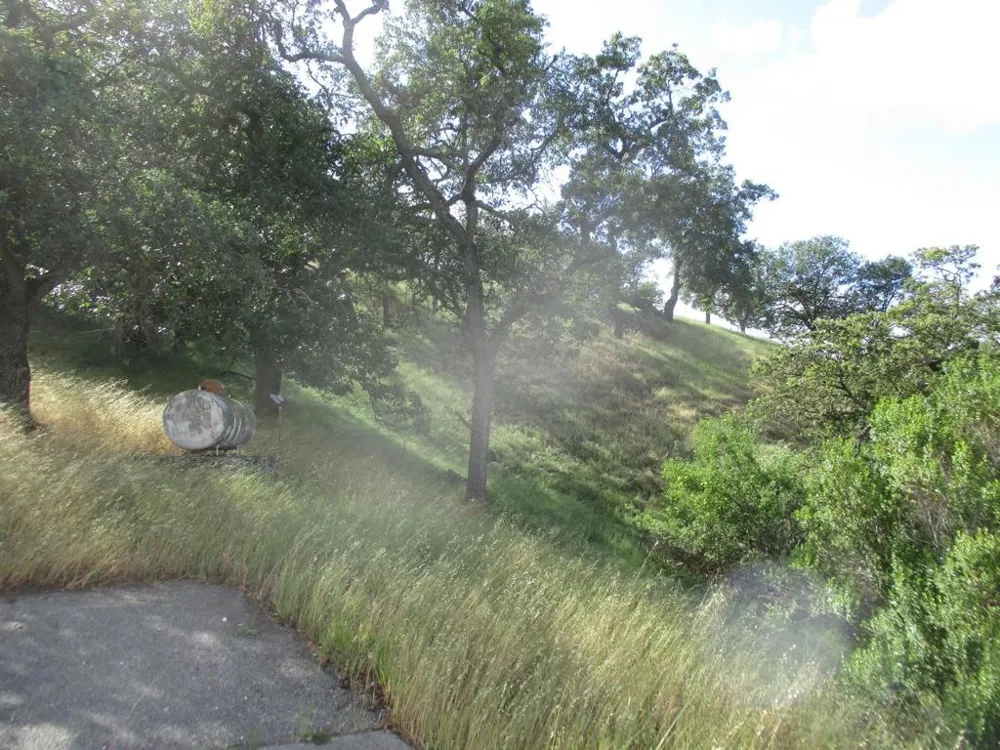 1935 Hayes Lane San Martin, CA 95046