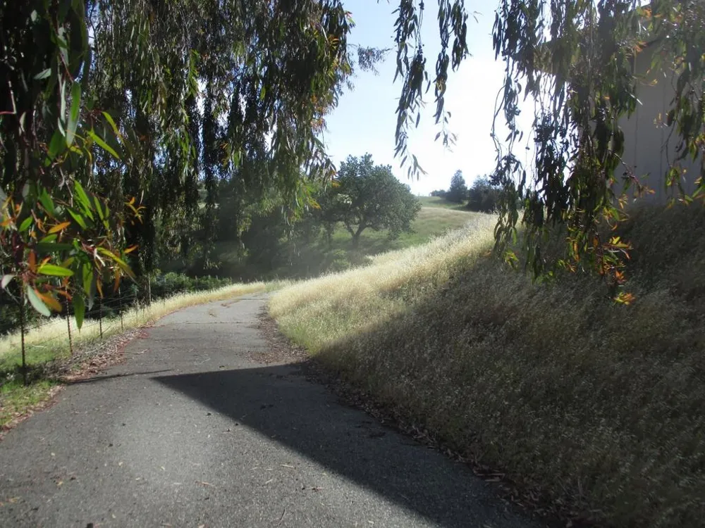 1935 Hayes Lane San Martin, CA 95046