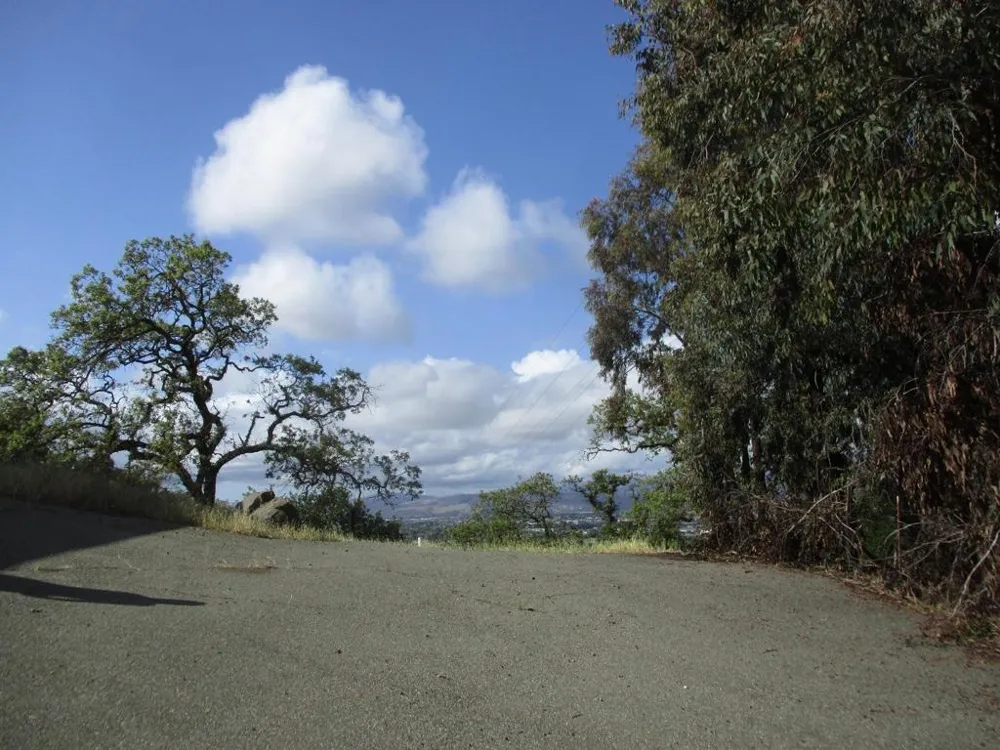 1935 Hayes Lane San Martin, CA 95046