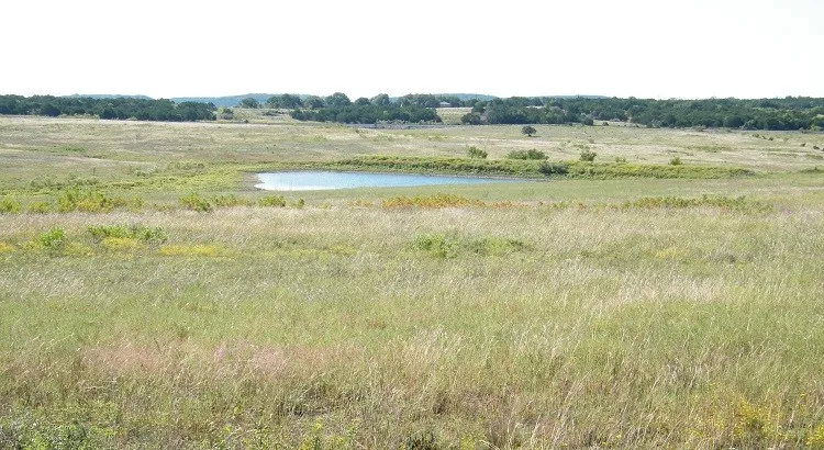 Westfall Drive Burnet, TX 78611