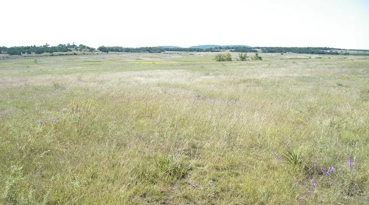 Westfall Drive Burnet, TX 78611
