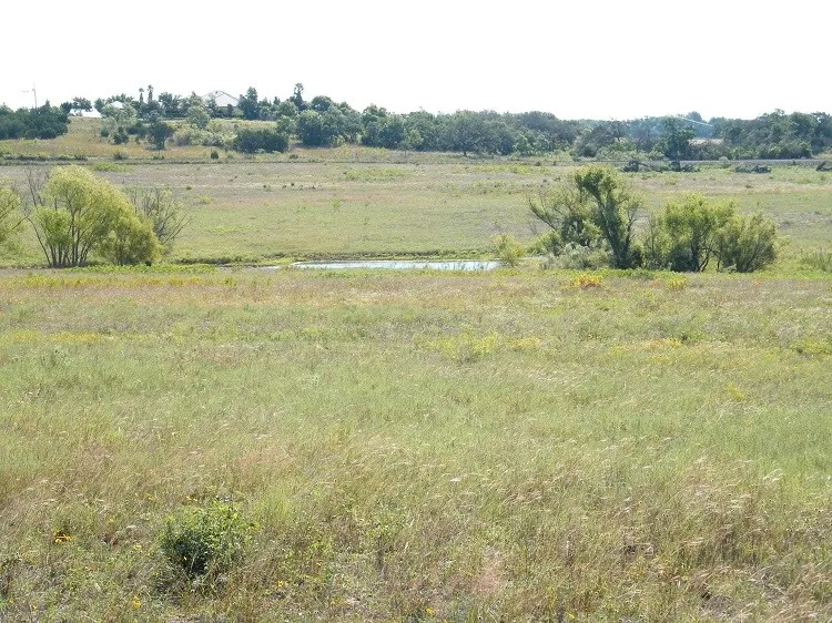 Westfall Drive Burnet, TX 78611