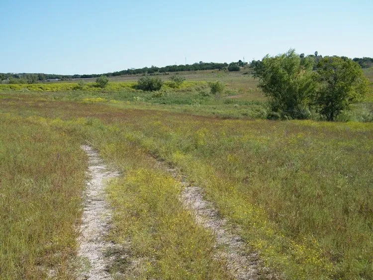 Westfall Drive Burnet, TX 78611