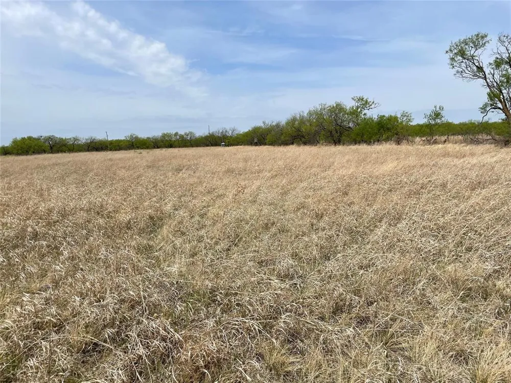 Hwy 6 Albany, TX 76424