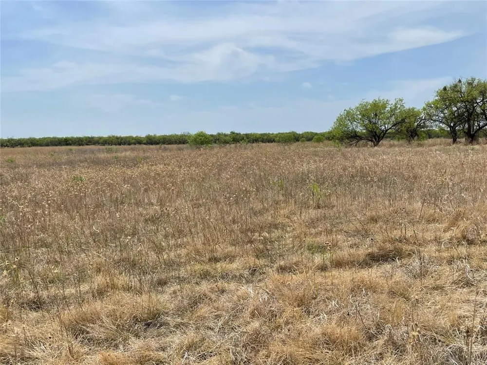 Hwy 6 Albany, TX 76424