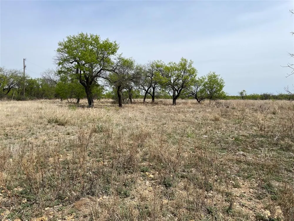 Hwy 6 Albany, TX 76424