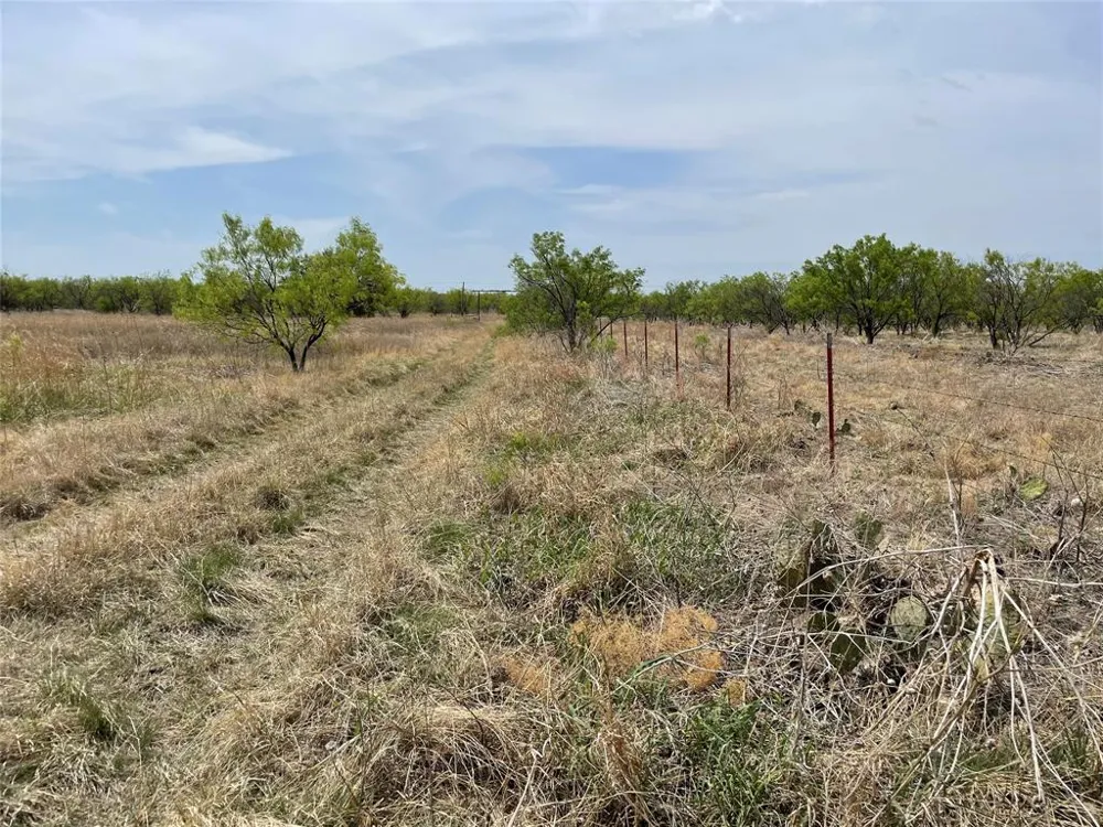 Hwy 6 Albany, TX 76424