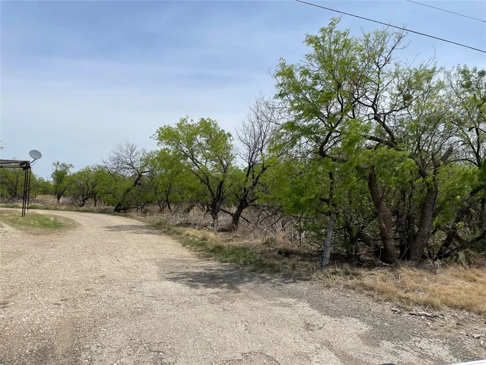 Hwy 6 Albany, TX 76424