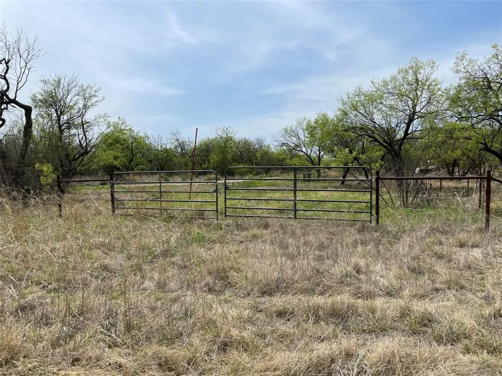 Hwy 6 Albany, TX 76424