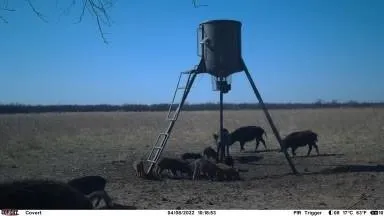 Hwy 6 Albany, TX 76424