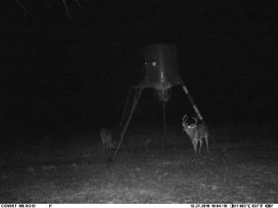 Hwy 6 Albany, TX 76424