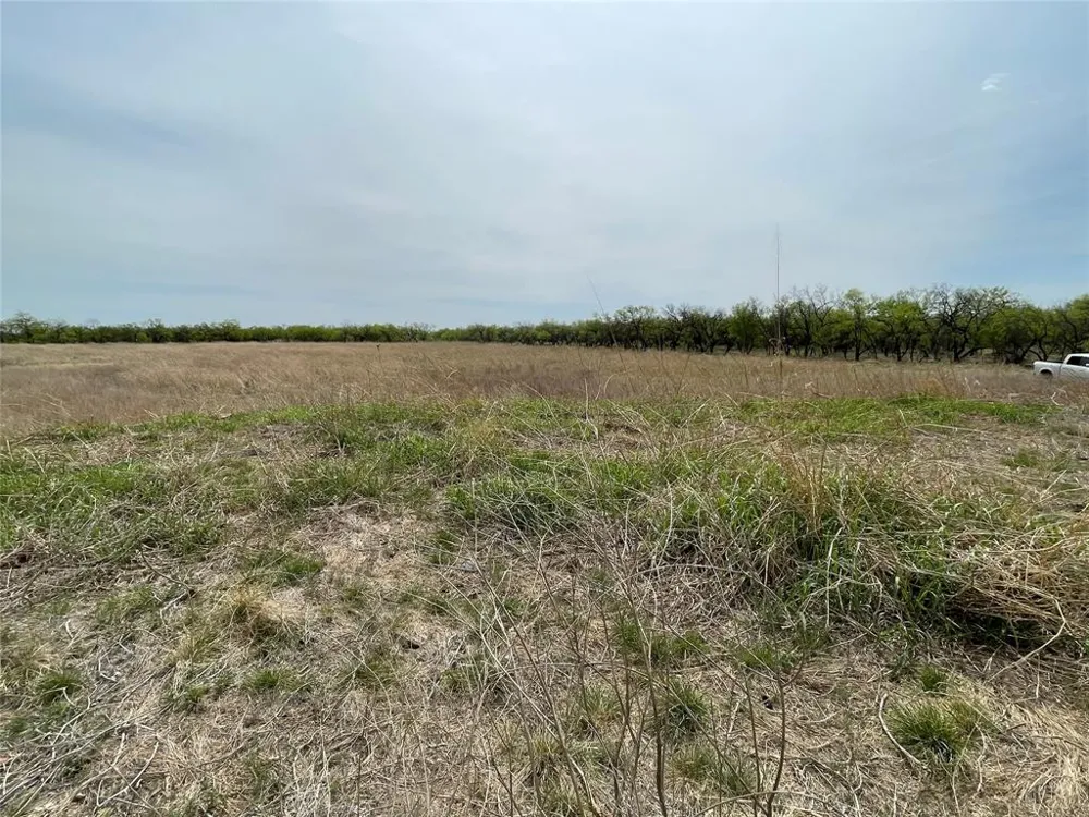 Hwy 6 Albany, TX 76424