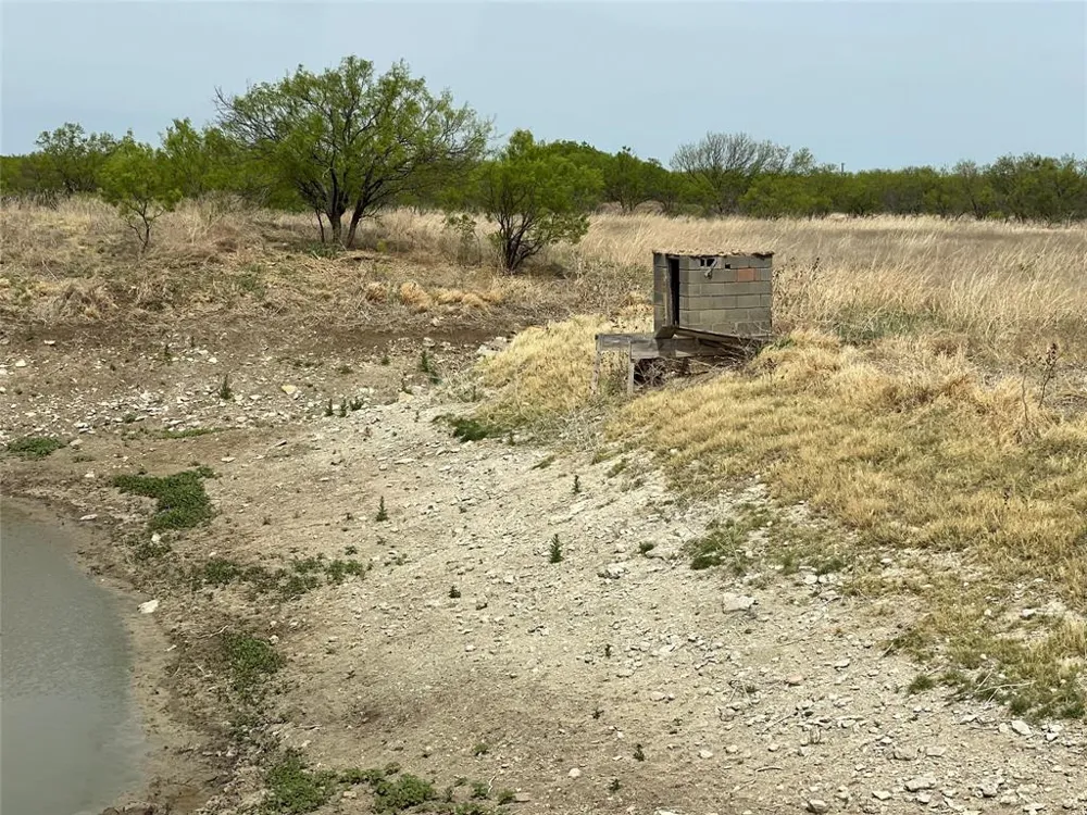 Hwy 6 Albany, TX 76424