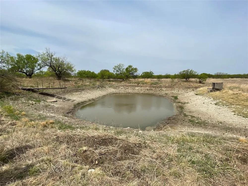 Hwy 6 Albany, TX 76424