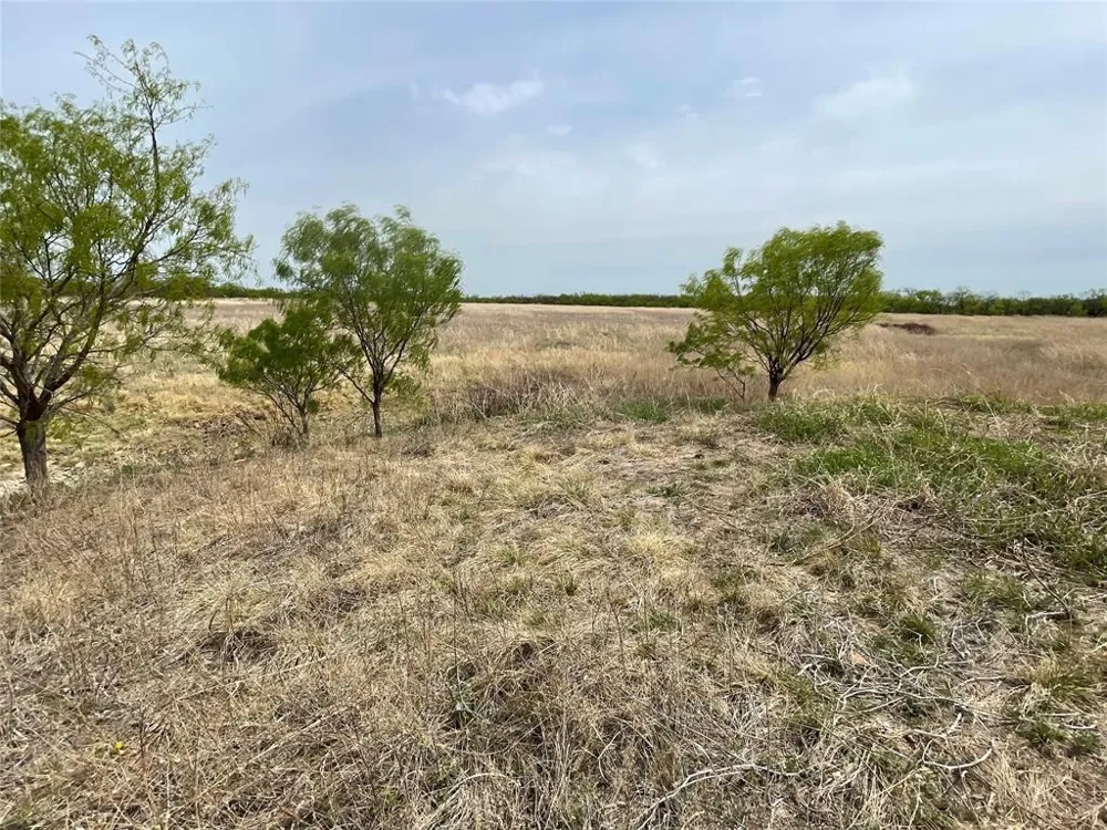 Hwy 6 Albany, TX 76424
