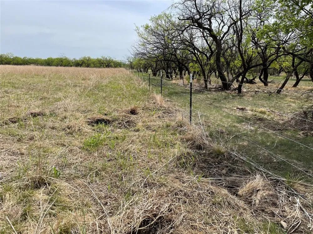 Hwy 6 Albany, TX 76424