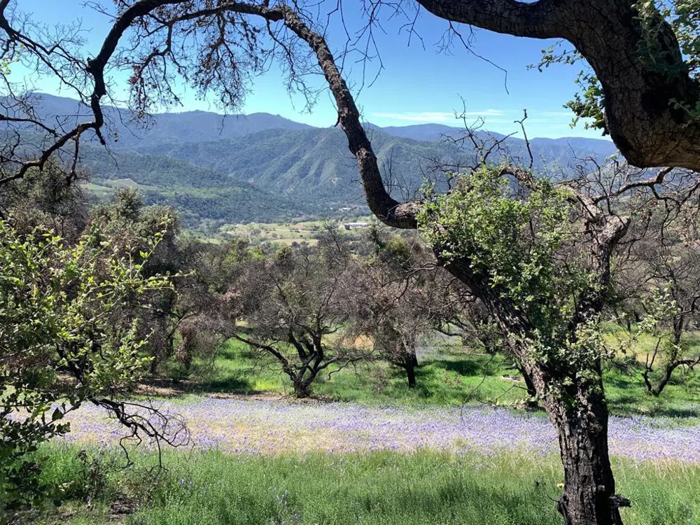 Cachagua Carmel Valley, CA 93924