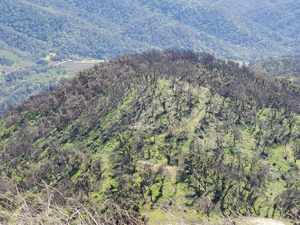 Cachagua Carmel Valley, CA 93924