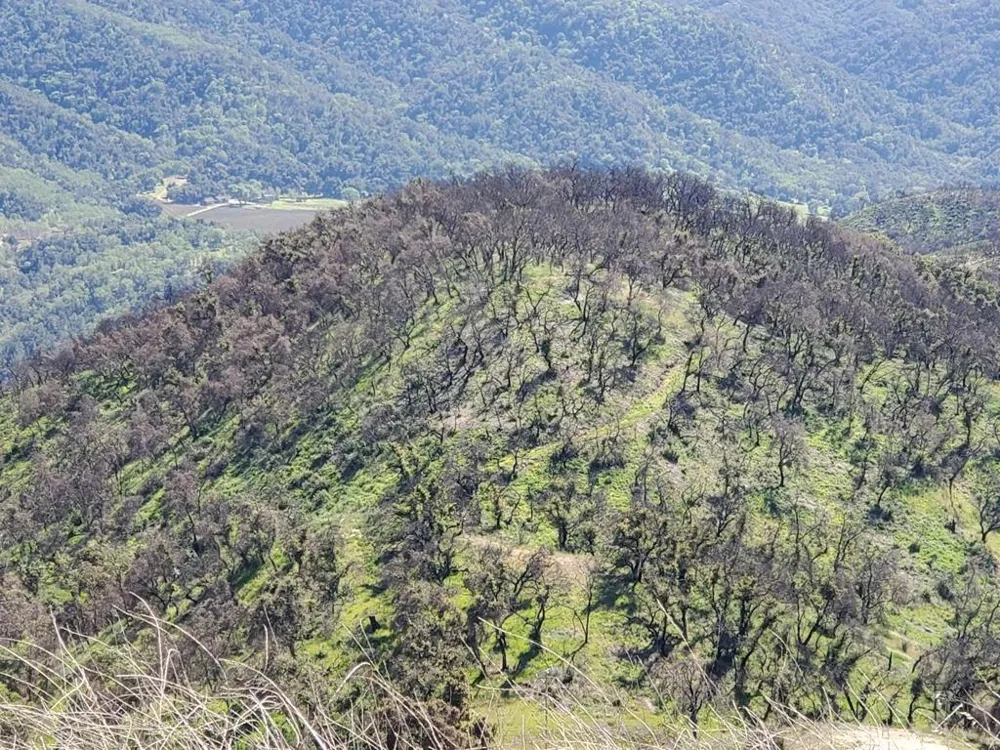Cachagua Carmel Valley, CA 93924