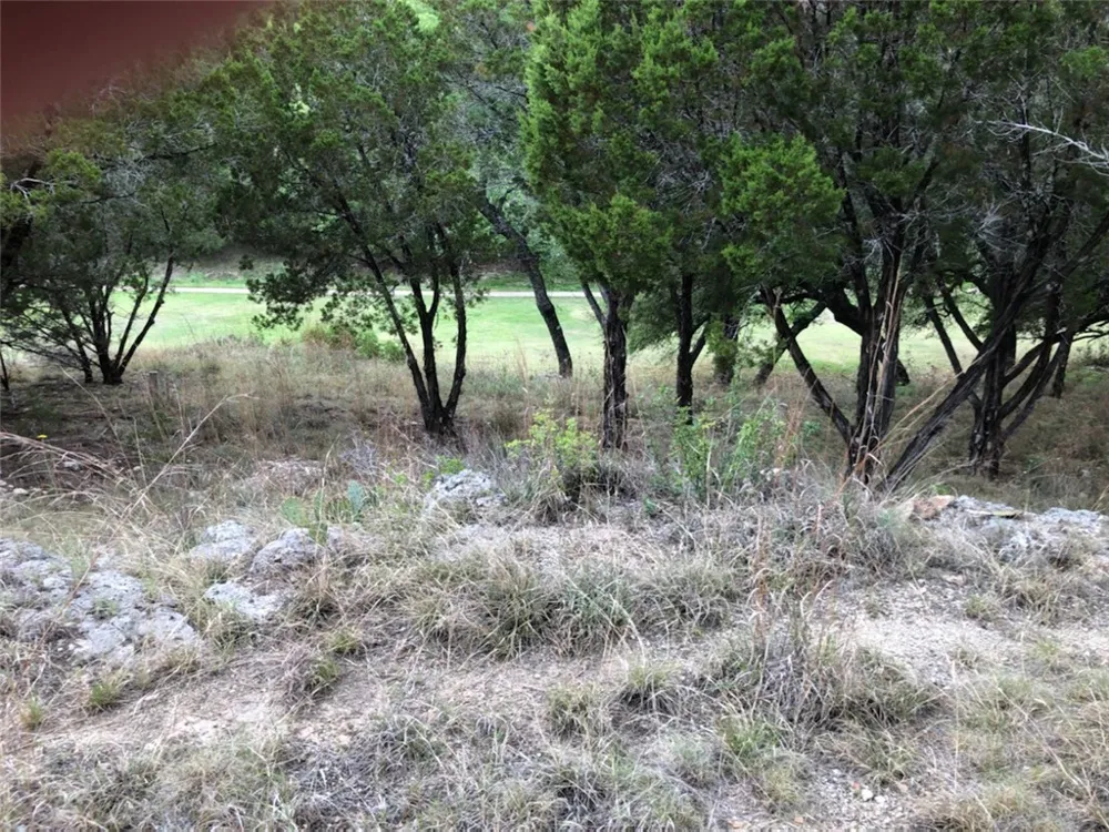 20103 Champlain Cove Lago Vista, TX 78645