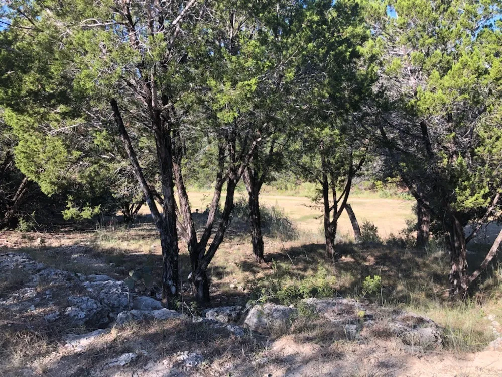 20103 Champlain Cove Lago Vista, TX 78645