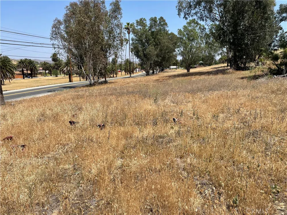 16 Riverside Drive Lake Elsinore, CA 92530