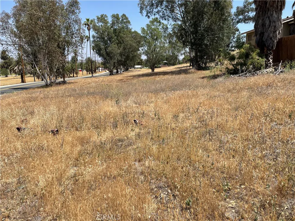 16 Riverside Drive Lake Elsinore, CA 92530