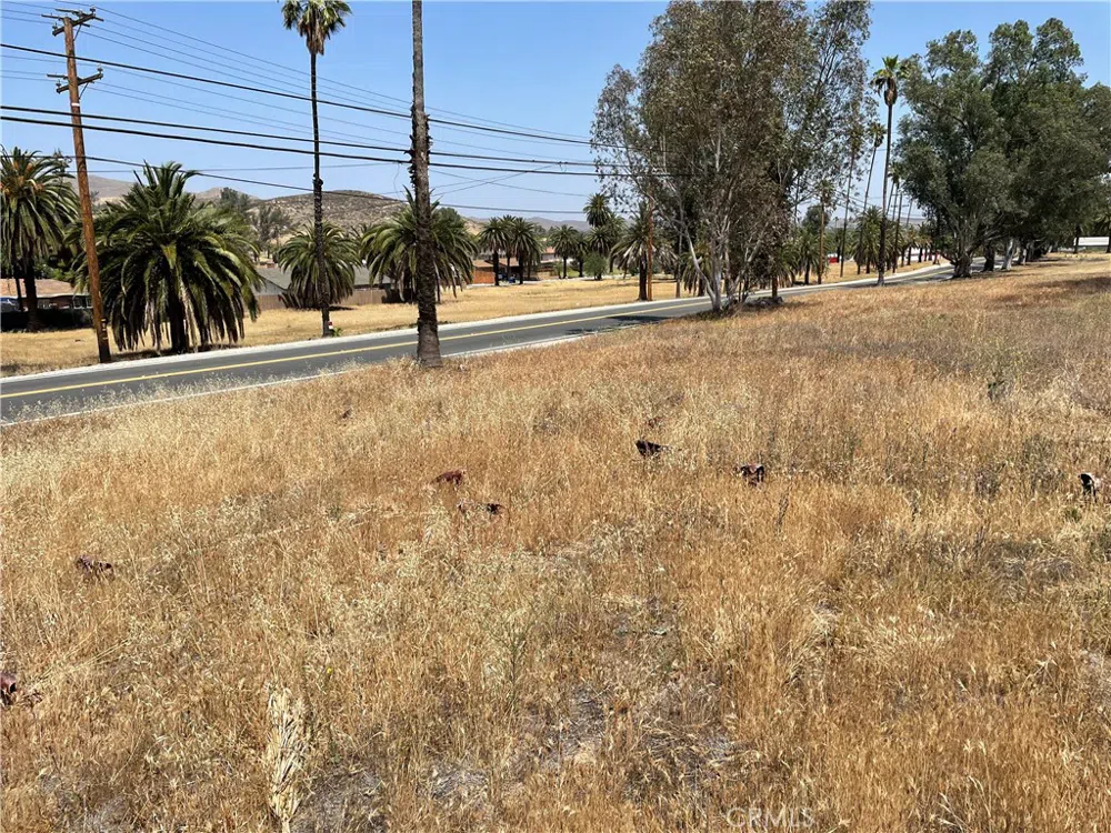16 Riverside Drive Lake Elsinore, CA 92530