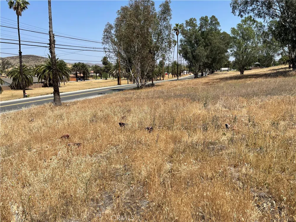 16 Riverside Drive Lake Elsinore, CA 92530