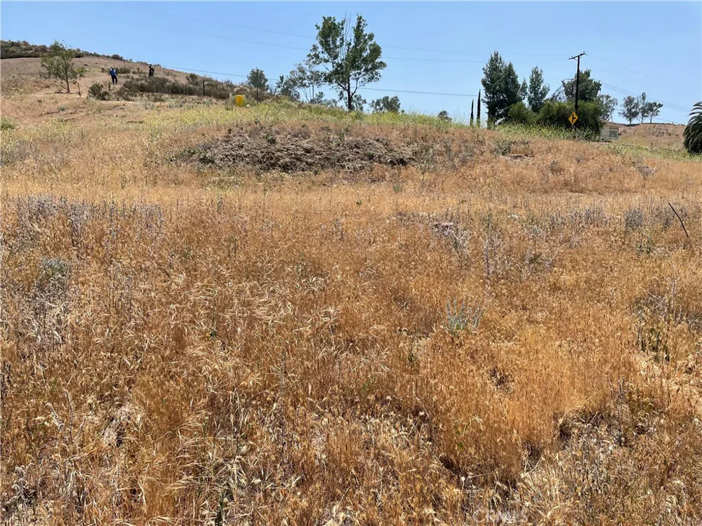 16 Riverside Drive Lake Elsinore, CA 92530