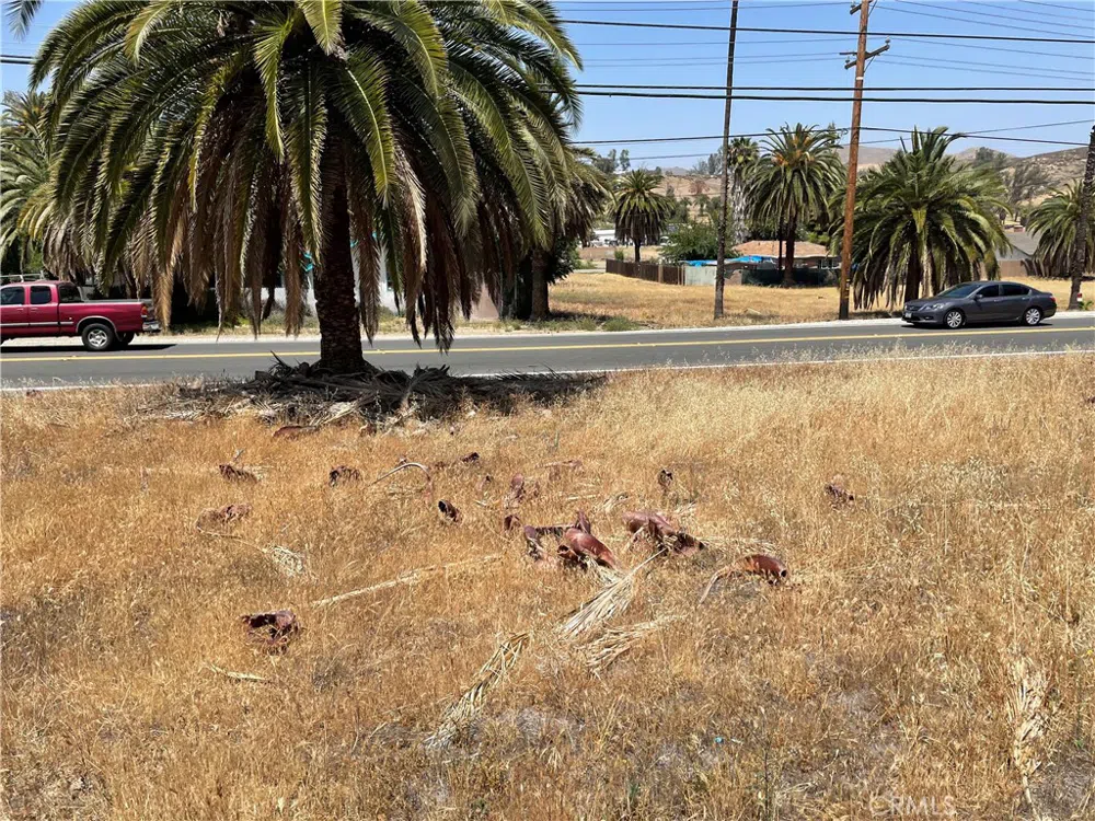 16 Riverside Drive Lake Elsinore, CA 92530