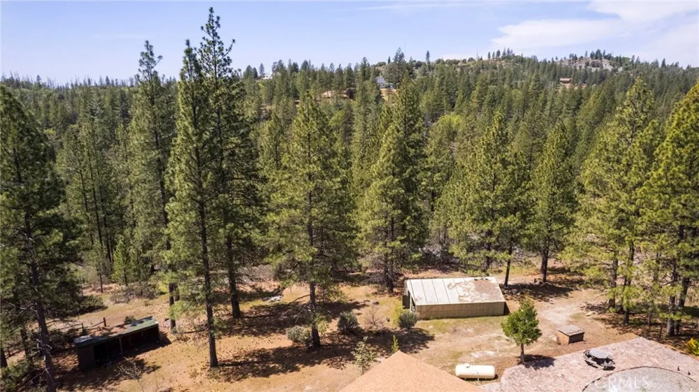 10379 Mcmahon Road Coulterville, CA 95311