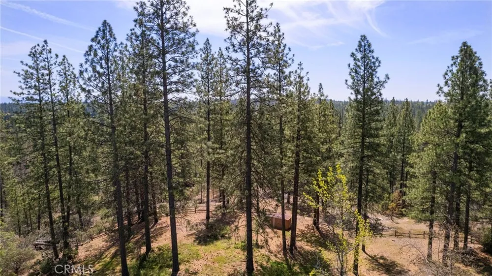 10379 Mcmahon Road Coulterville, CA 95311