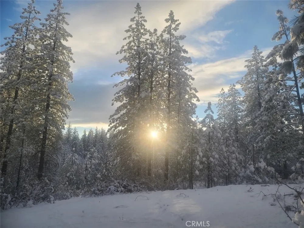10379 Mcmahon Road Coulterville, CA 95311