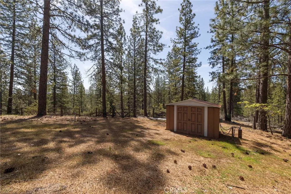 10379 Mcmahon Road Coulterville, CA 95311