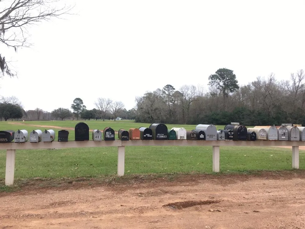 Big Creek Shepherd, TX 77371