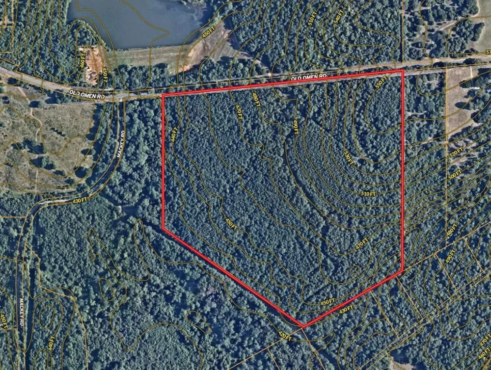 CR 262 Tyler, TX 75707