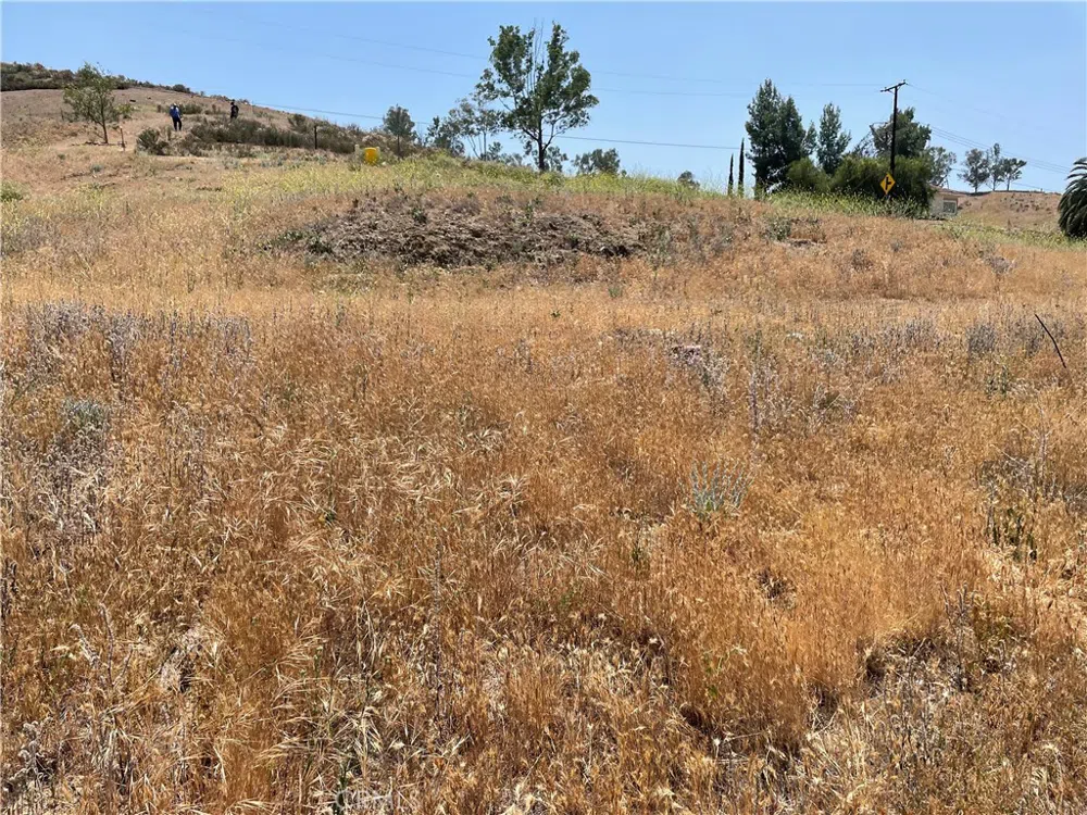 15 Riverside Drive Lake Elsinore, CA 92530