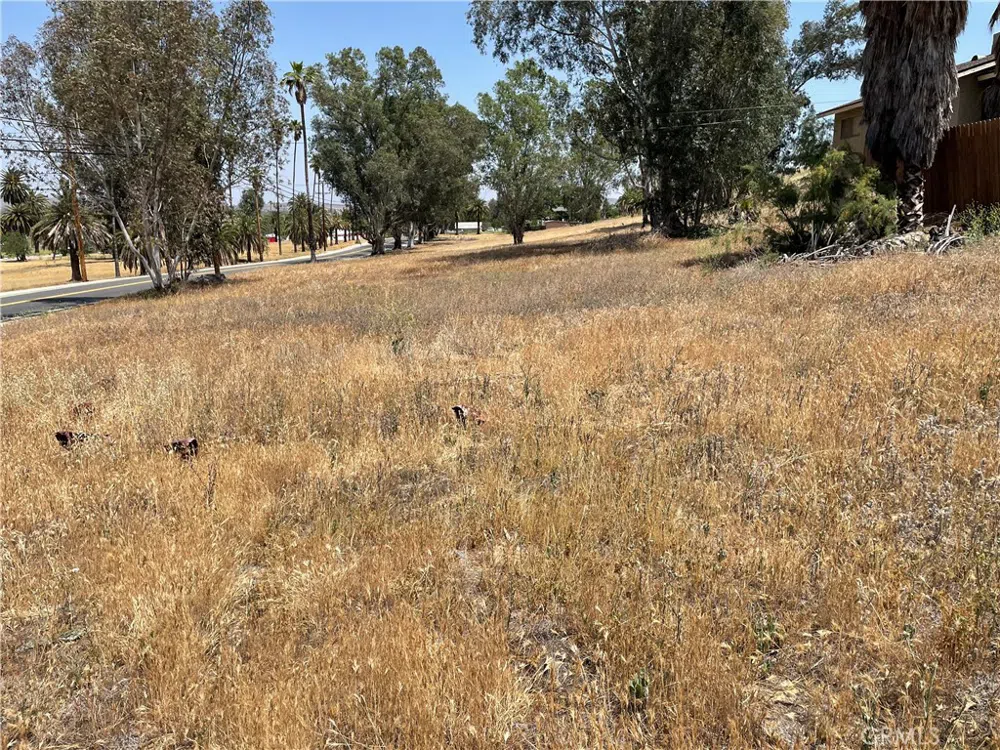15 Riverside Drive Lake Elsinore, CA 92530