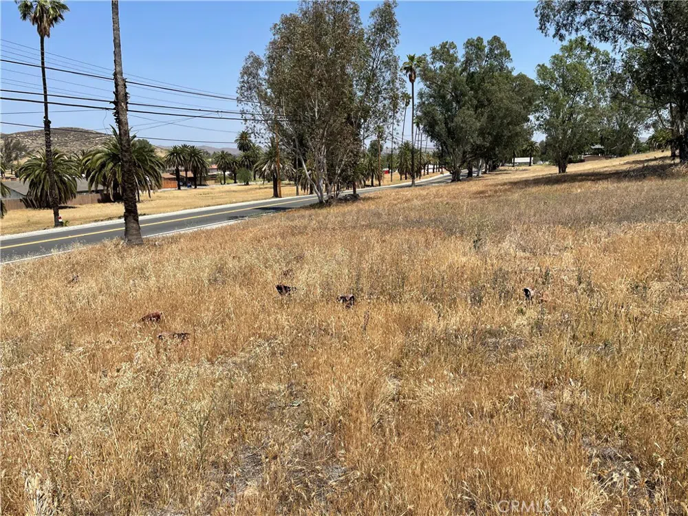 15 Riverside Drive Lake Elsinore, CA 92530